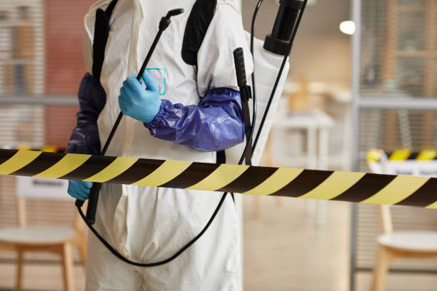 Professional Sewage Cleanup technician working in Breckenridge, CO